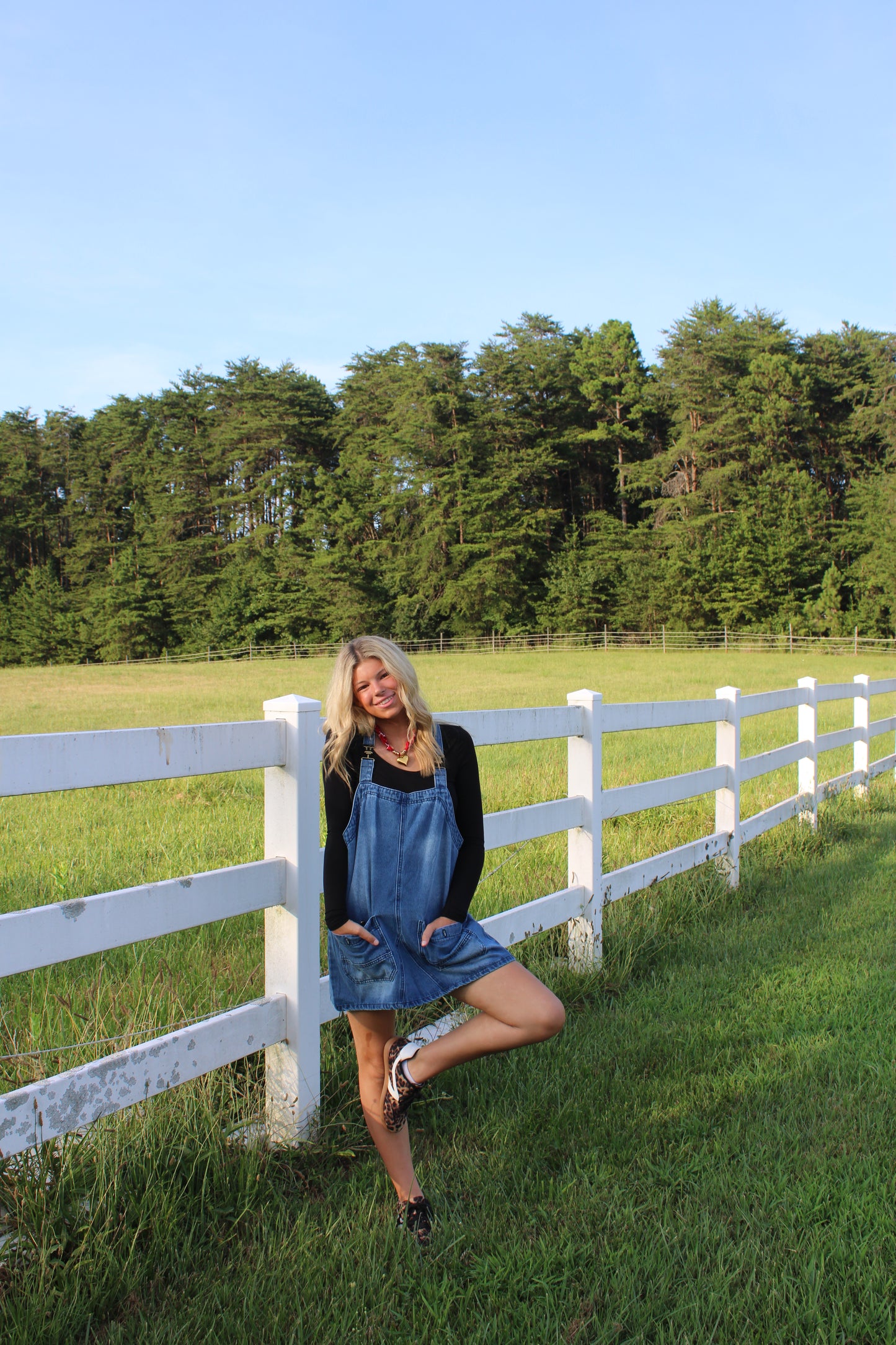 Backroad Denim Overall Dress