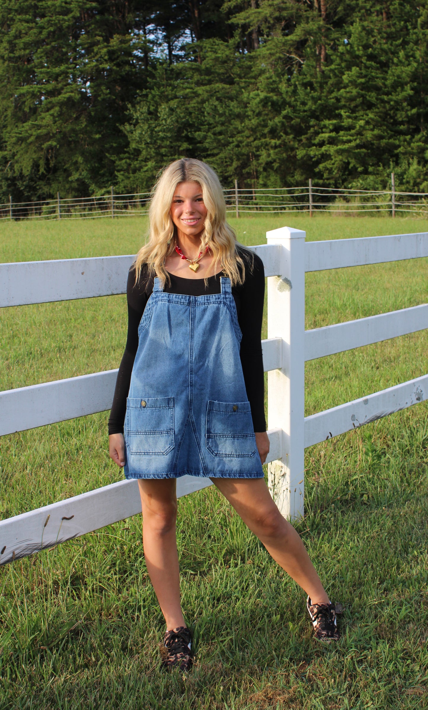 Backroad Denim Overall Dress