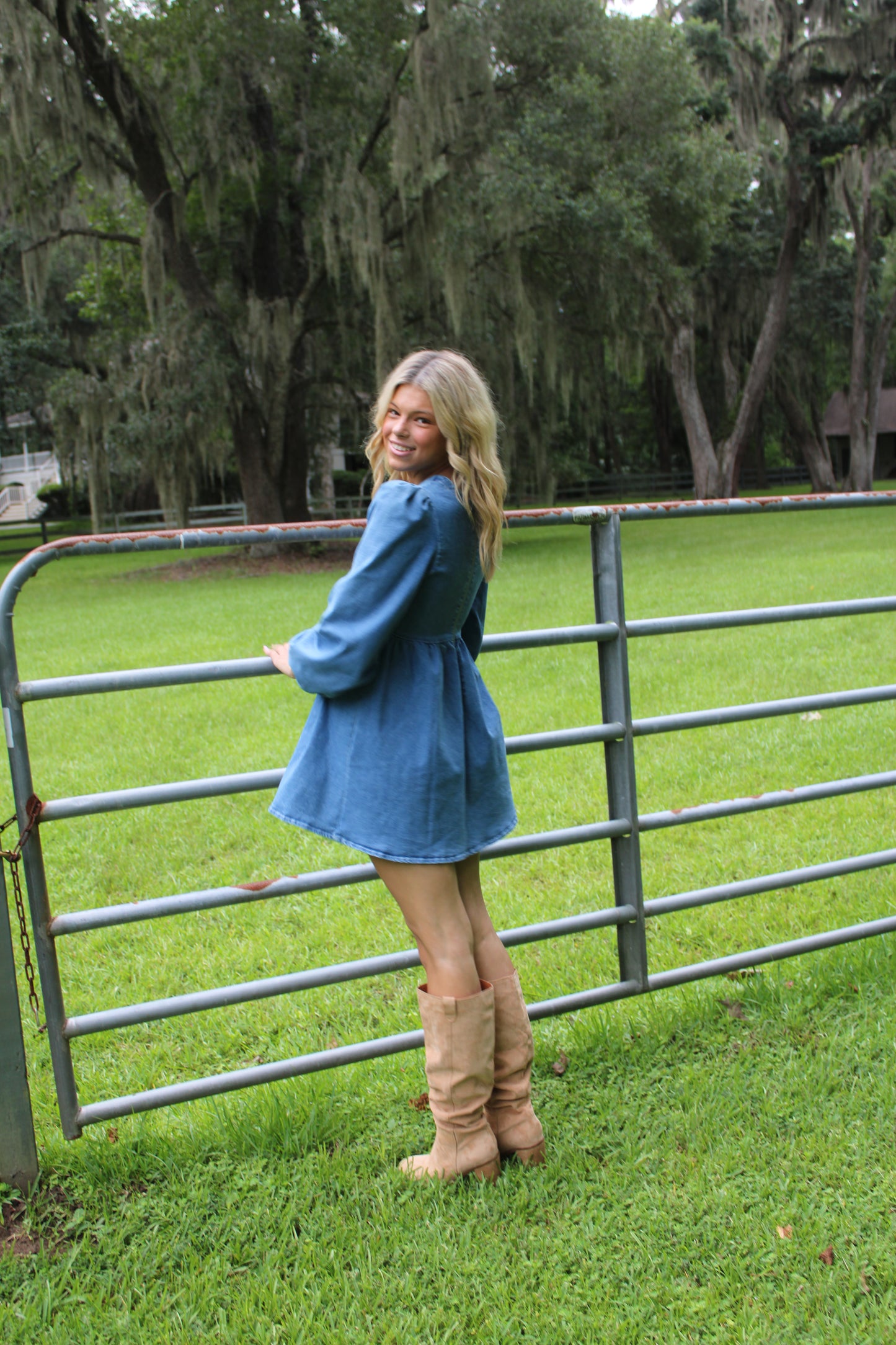 Dusty Roads Denim Dress
