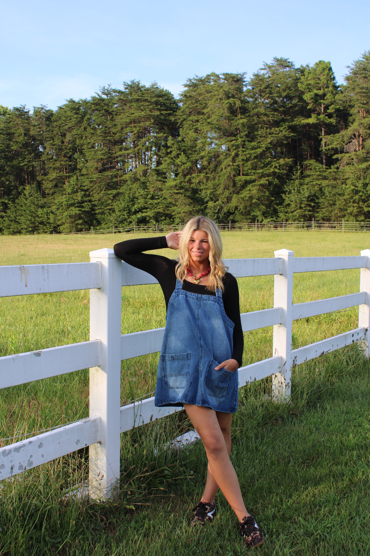 Backroad Denim Overall Dress