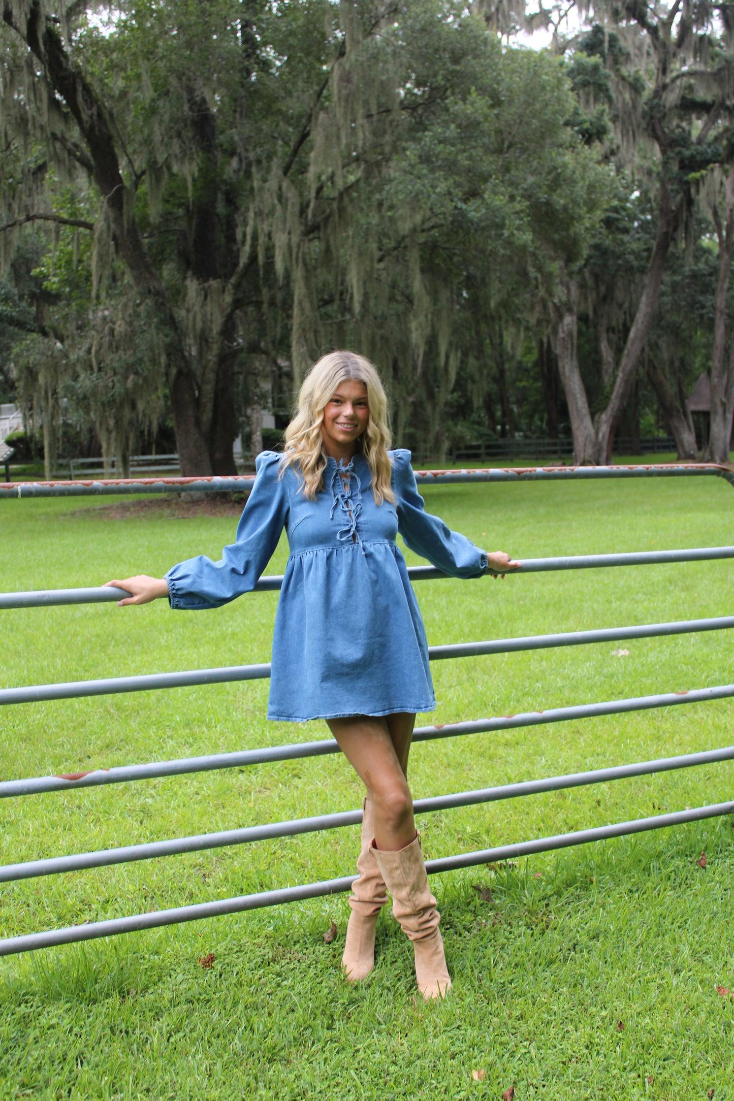 Dusty Roads Denim Dress