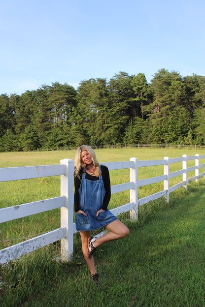 Backroad Denim Overall Dress