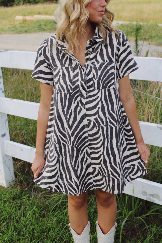 Wild About Texas Denim Dress