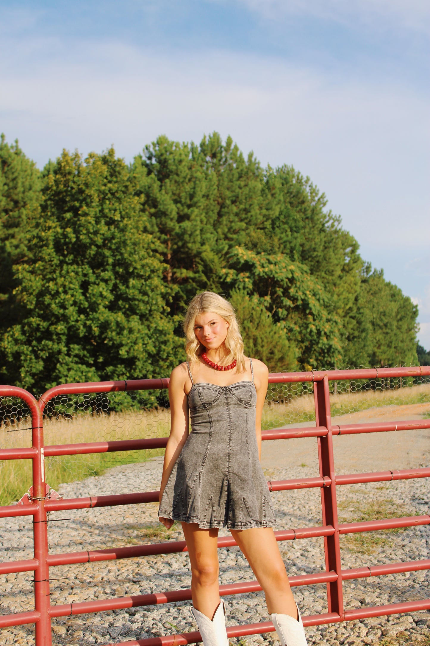 Charcoal Muse Denim Dress